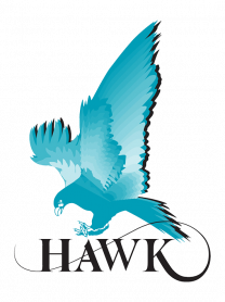 Hawk Measurement Systems