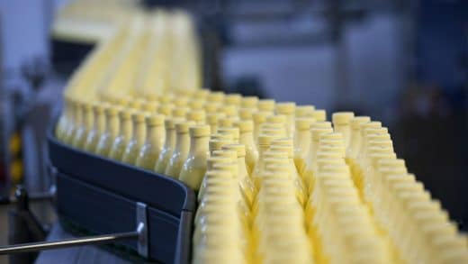 Dairy Plant Milk Pasteurization