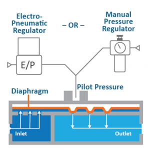 Innovation in Pressure Control: Single Use Back Pressure Regulators ...