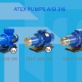 Gemmecotti ATEX Pumps: The EM Series