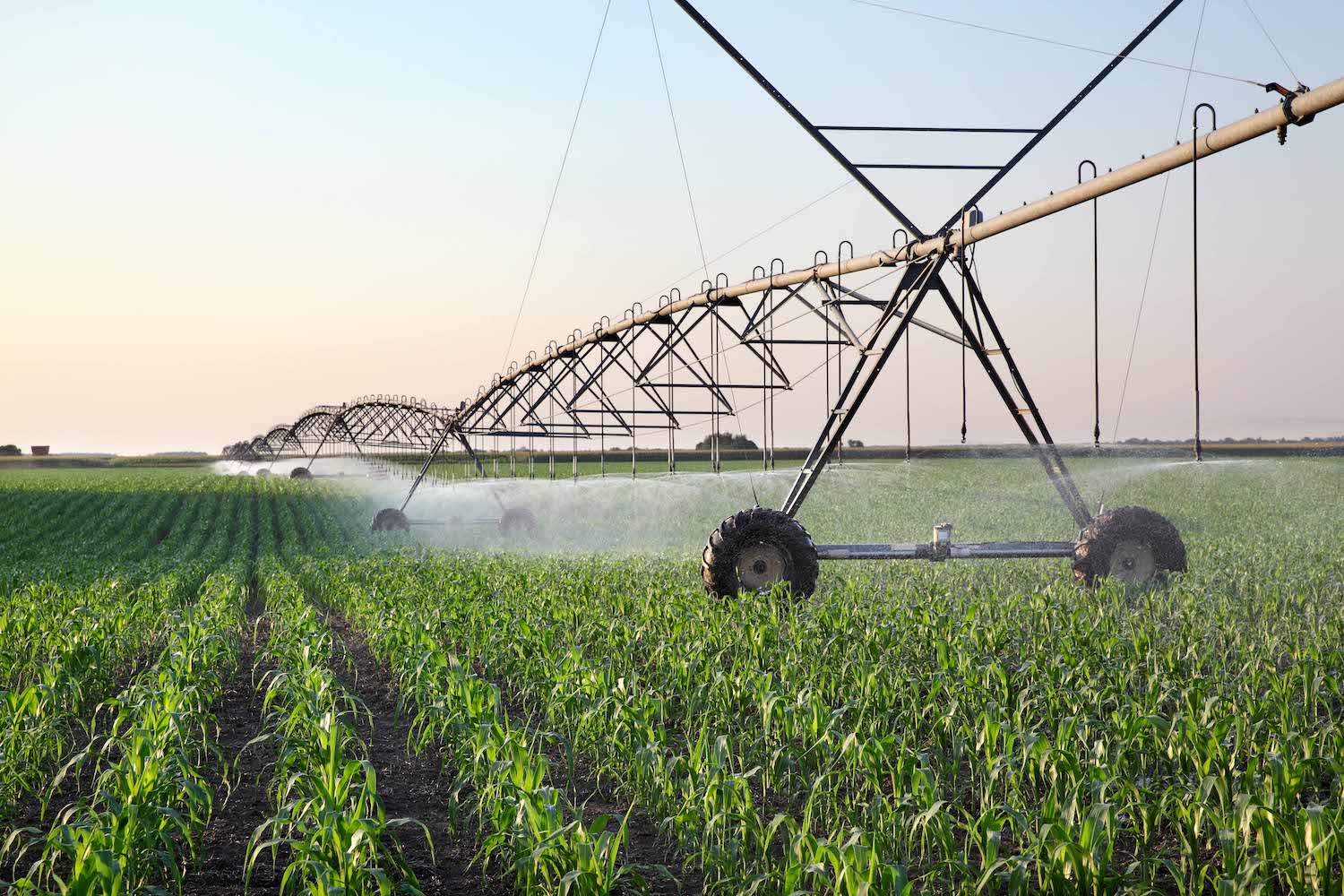 Cortec® Presents a Biobased Answer to Aluminum Irrigation Pipe Corrosion!