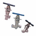 Over 12,000 Configurations Of Clampseal Severe Service Globe Valves Available