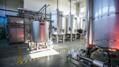 Report Highlights European Biogas Potential