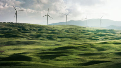 Commitment to a Sustainable Future