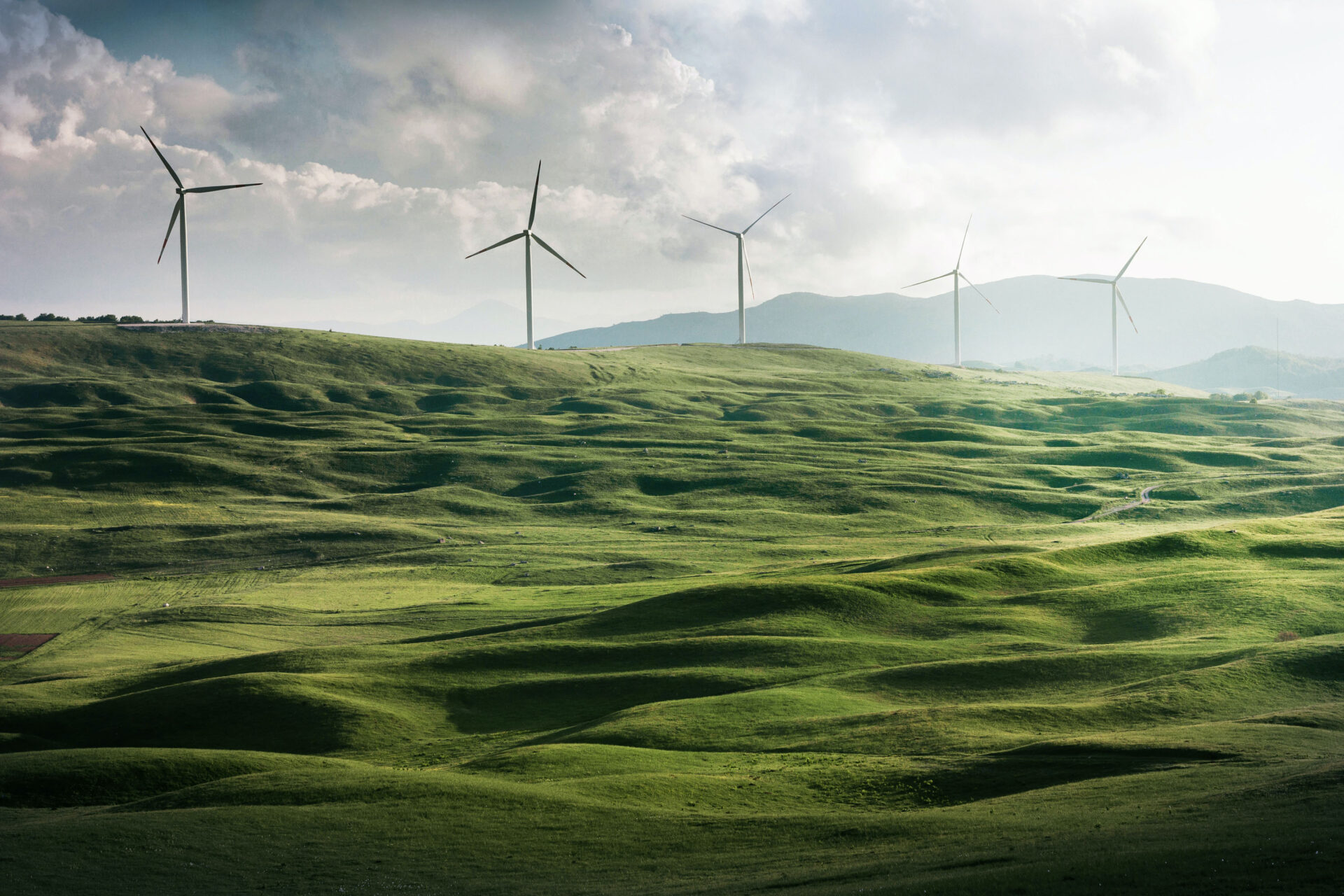 Commitment to a Sustainable Future