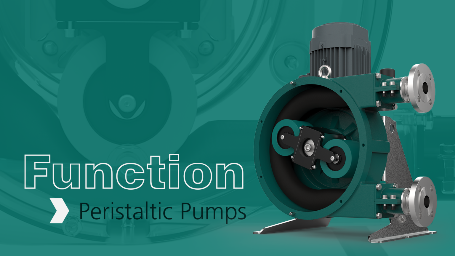 Function of a Peristaltic Pump From NETZSCH