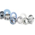 Garlock GYLON BIO-LINE Sanitary Gaskets Reliably Seal Pharmaceutical Applications, Meeting the Challenging Process Requirements of the Industry