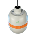 See the Light with Pulsar Measurement