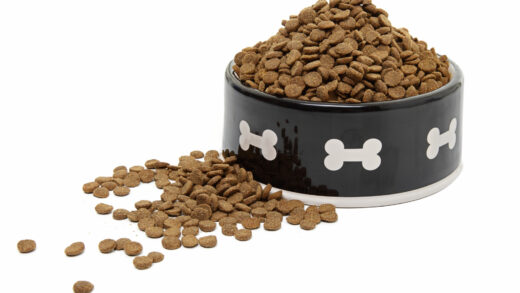 Pet Food Products Manufacturer Selects OverWatch® to Support Growing Production Needs