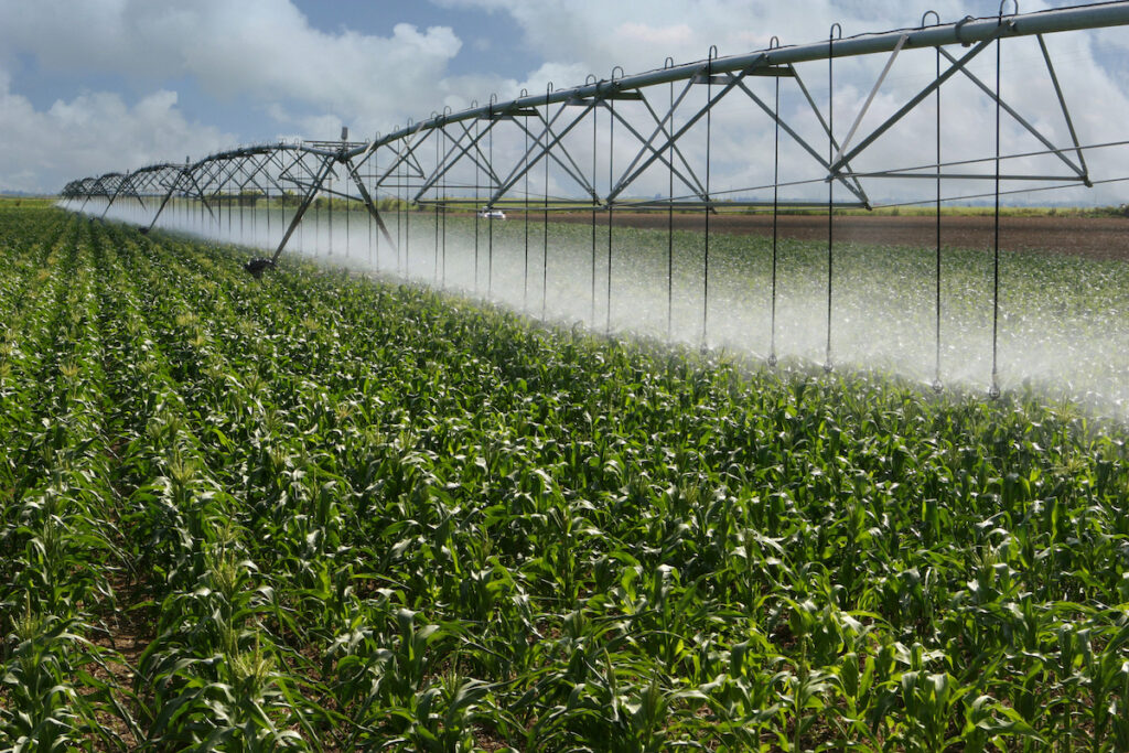 The Importance of Accurate Metering in Irrigation