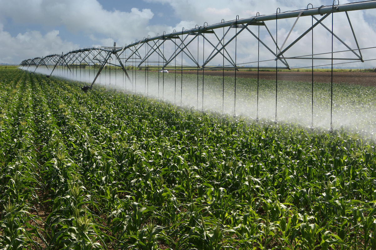 The Importance of Accurate Metering in Irrigation