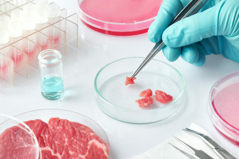 Industry-Scale Production of Cultivated Meat and the Importance of Valve Control