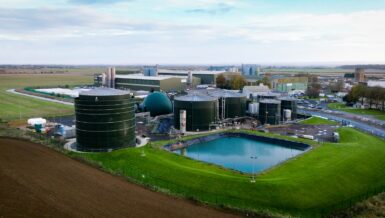 Biofuel Production