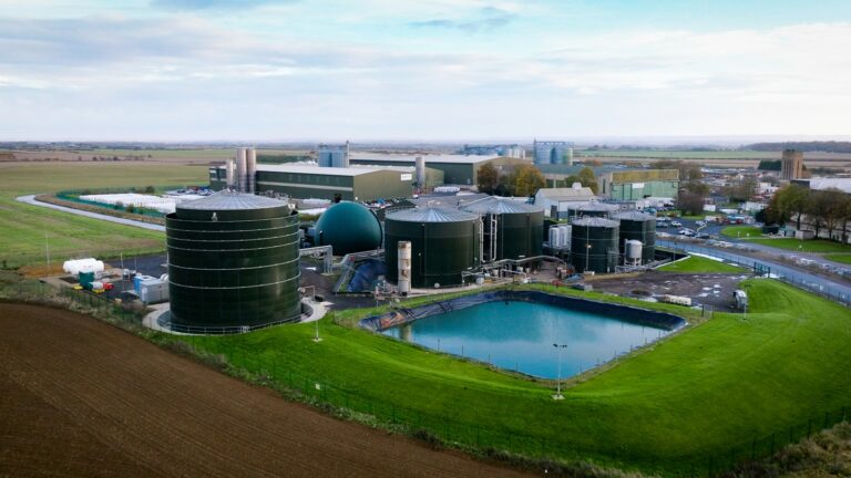 Biofuel Production