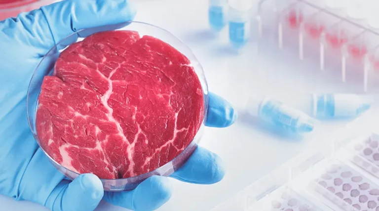Meat From Bioreactors