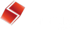 smartSelect software Co. Inc logo