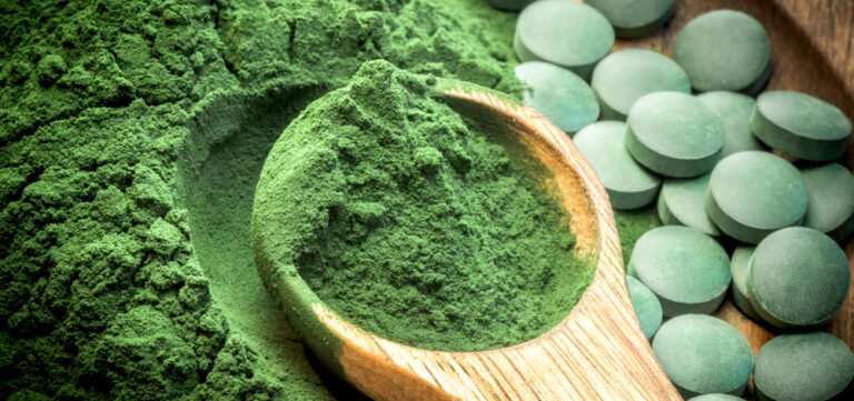 Algae