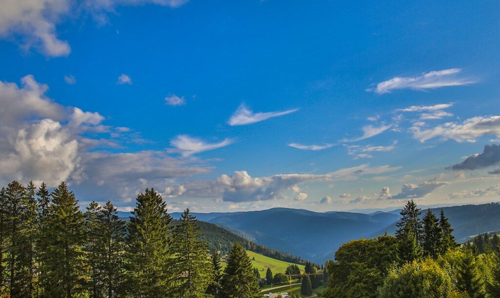 Panoramic view of the Black Forest with green valleys, conifer trees and rolling hills