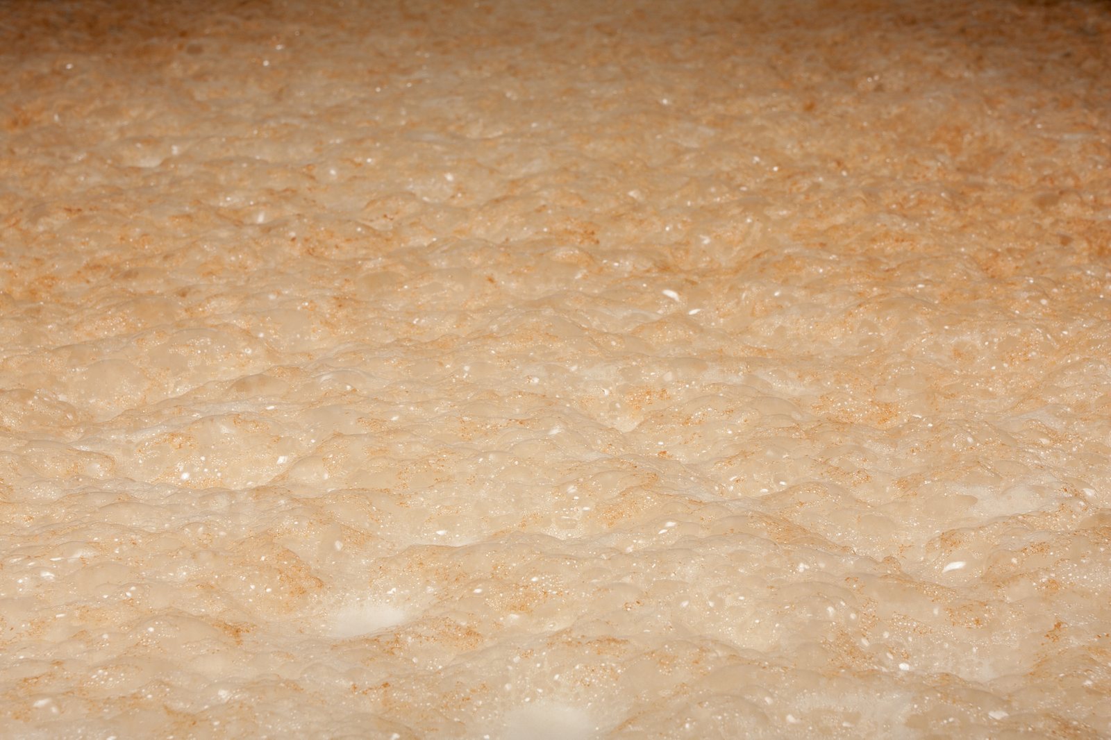 Foam on fermenting wort during brewing of alcohol-free beer